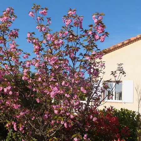La Cezenole Villa